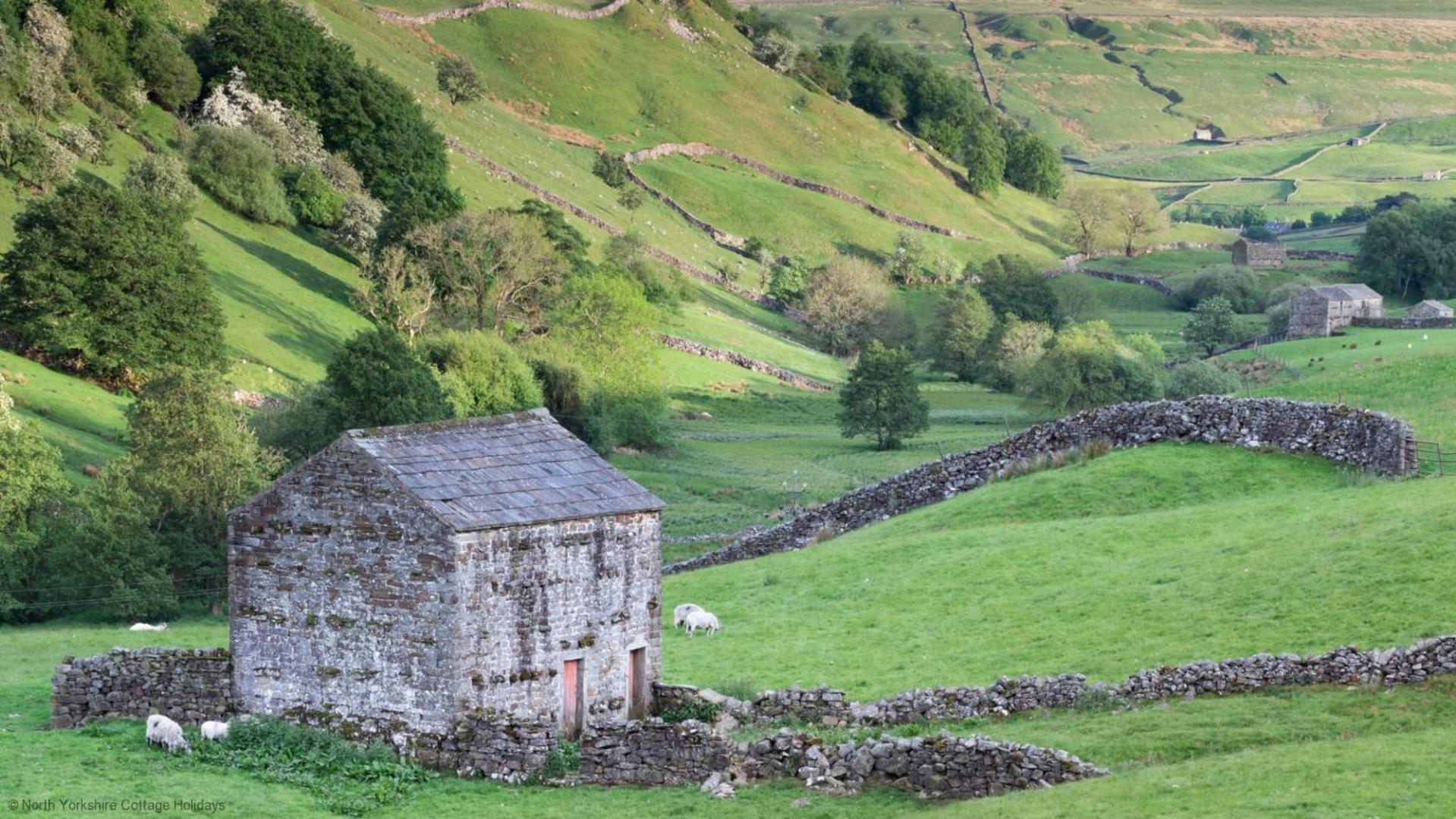 Stone Cottage In Picturesque North Yorkshire Village - Bull Dog Cottage Ampleforth Exterior foto